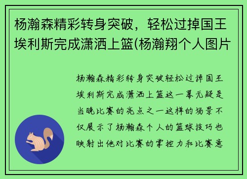 杨瀚森精彩转身突破，轻松过掉国王埃利斯完成潇洒上篮(杨瀚翔个人图片)
